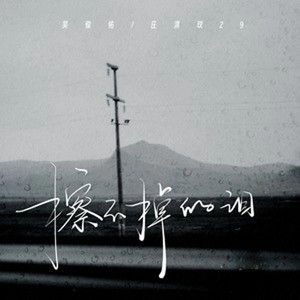 擦不掉的泪 (DJ小桑版)