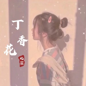 丁香花歌词完整版(丁香花歌曲原唱视频歌词)