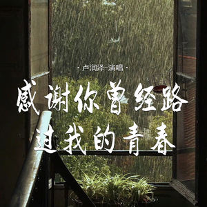 感谢你曾经路过我的青春