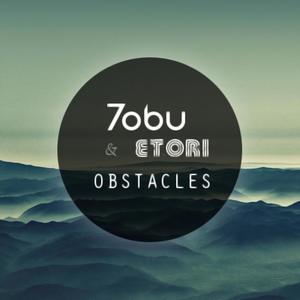 stony obstacles图片