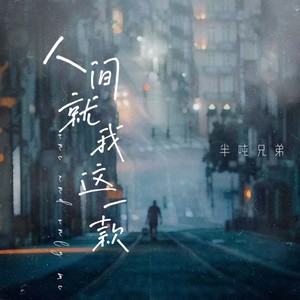 人间就我这一款 (烟嗓版)