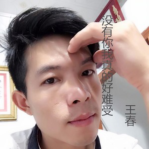 歌曲歌手时长1没有你我真的好难受播放添加到歌单vip下载分享王春03