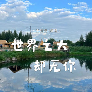 世界之大却无你