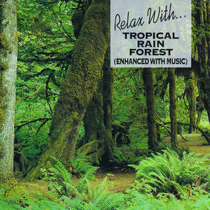 relaxwithtropicalrainforest