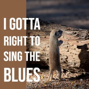 i gotta right to sing the blues語種:英語流派:r&b唱片公司:dce pop