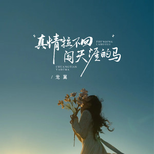 真情拉不回闯天涯的马