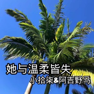 阿吉野马DJ图片