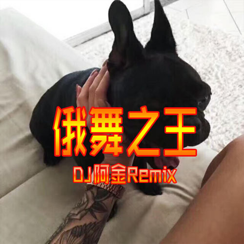 俄舞 (dj版)播放添加到歌單vip下載dj阿金02:04俄舞之王2法克尤電鈴搖