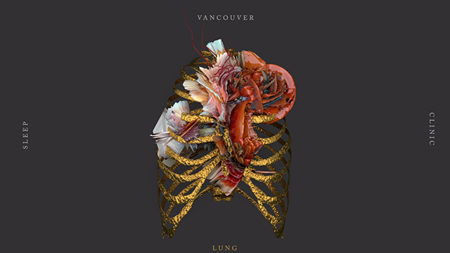 Vancouver Sleep Clinic Qq音乐 千万正版音乐海量无损曲库新歌热歌天天畅听的高品质音乐平台