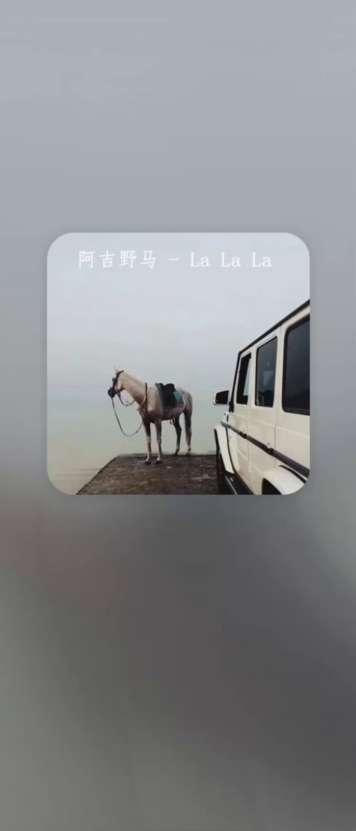 la la la-阿吉野马