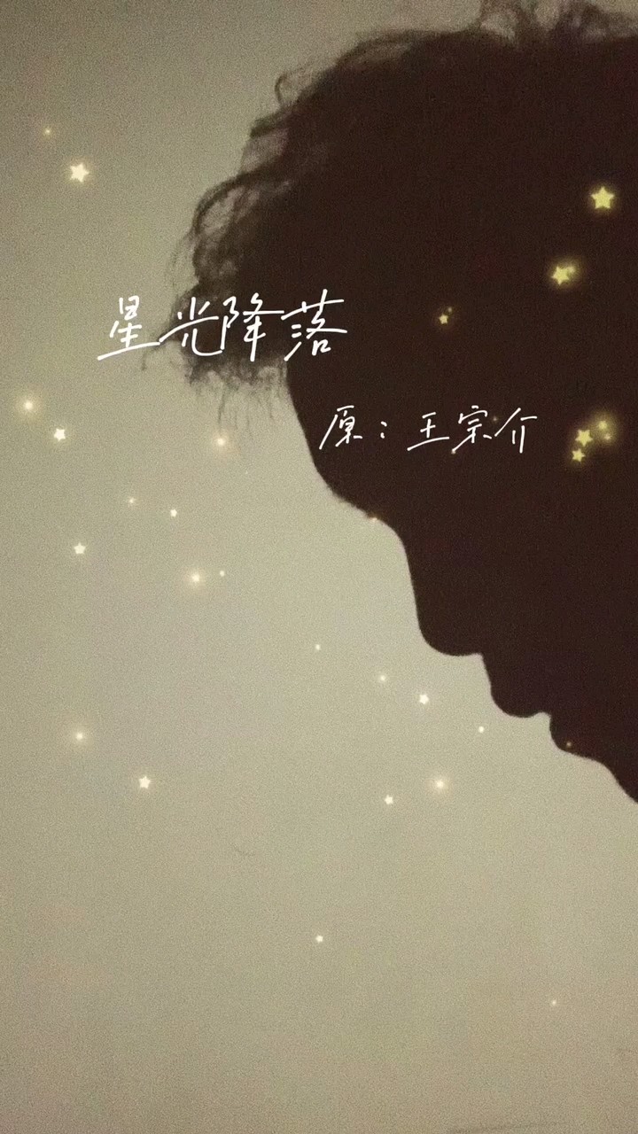 王宗介《星光降落》