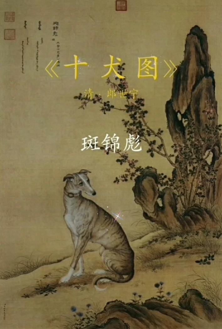 郎世宁十犬图的价格图片