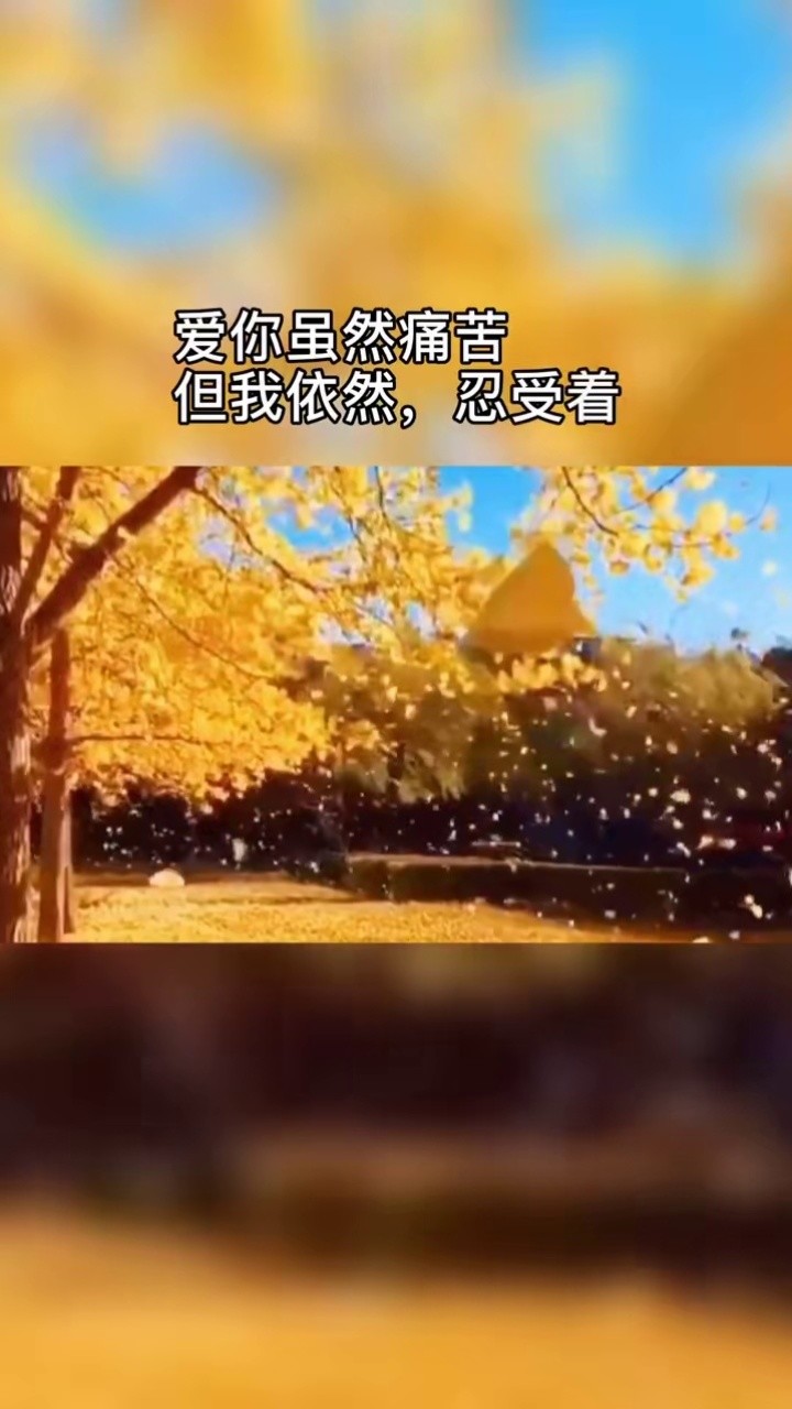 情感心语  爱情文字  扎心语录