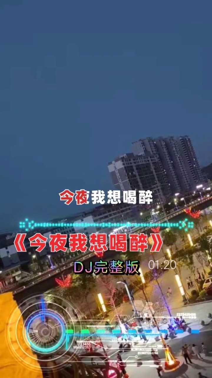 一首 今夜我想喝醉  完整版